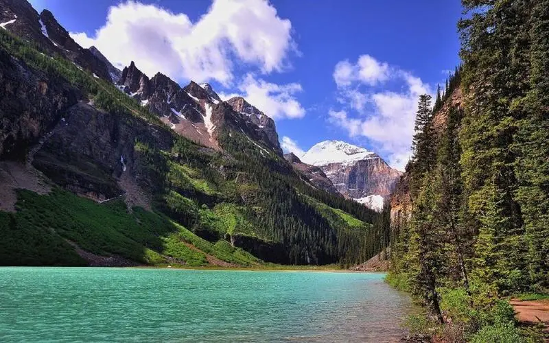 高精度可靠性高质量